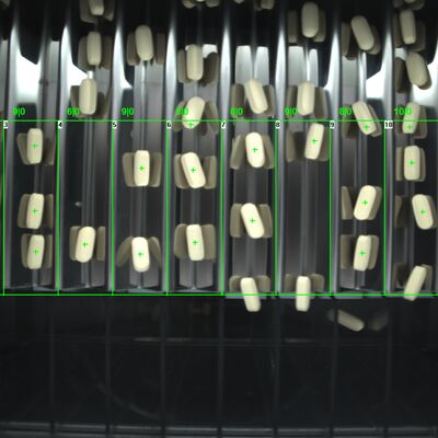 2 canali Macchina automatica per l'ispezione visiva delle compresse 2 KW