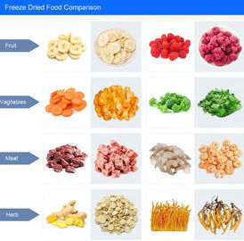 Macchina per l'essiccazione a microonde sottovuoto di frutta